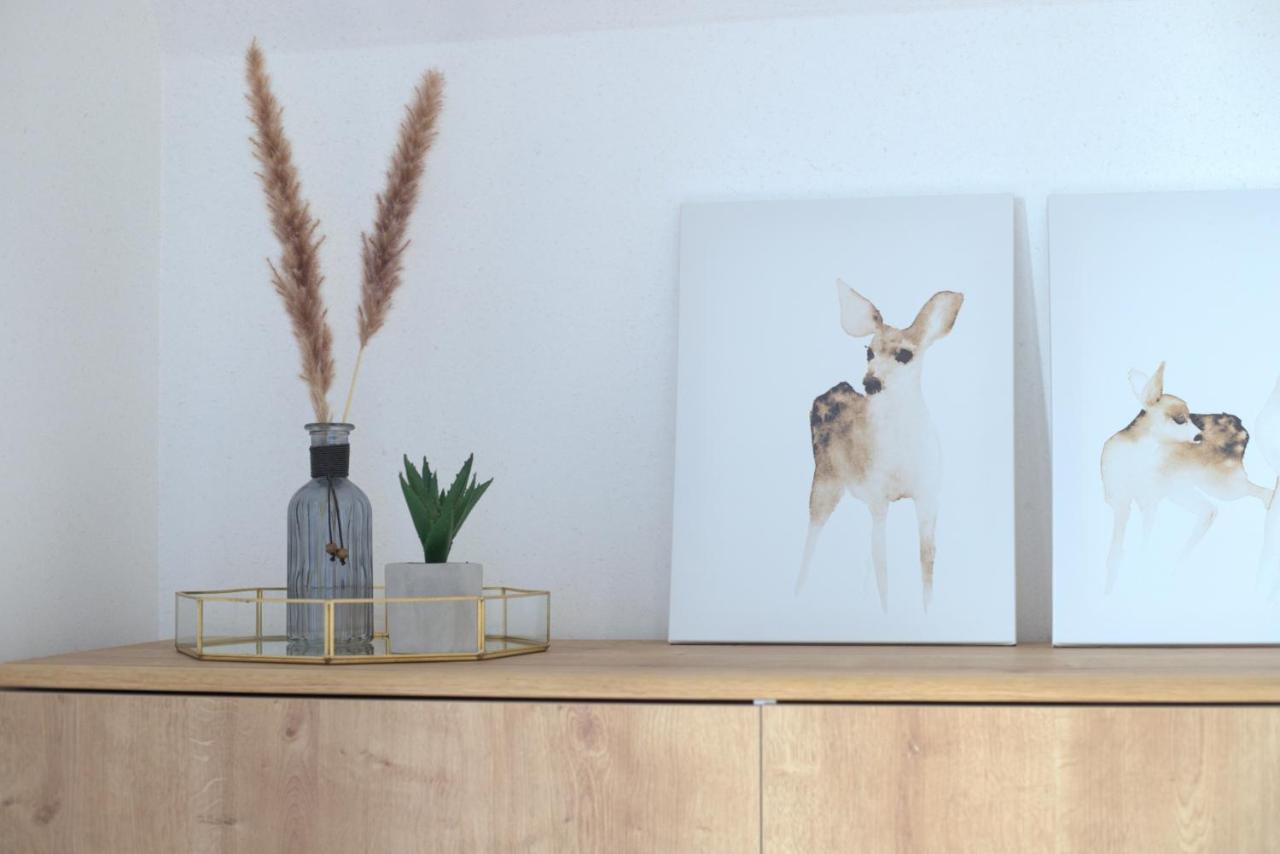 Hill House Apartamenty ビャウカ エクステリア 写真